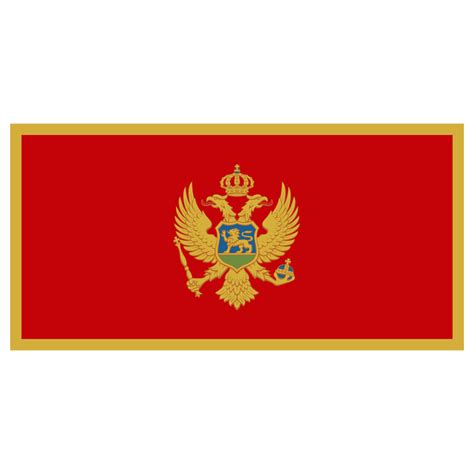 Флаг Союзного Государства - instructionalert