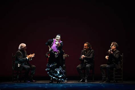 Festival De Jerez 2023 Videos Día 11 Revista La Flamenca
