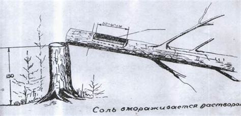 Пожелания - Классификация охотничьих угодий Октябрьского района ...