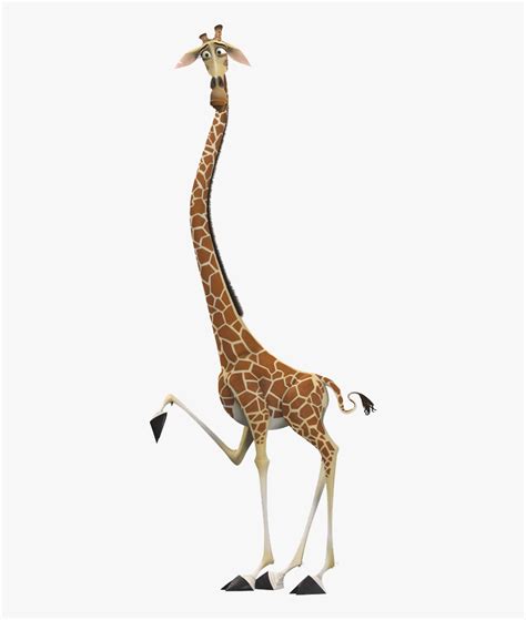 Madagascar, Hd Images, Free Png, Image Types, Clip Art, Tatoos, Pure Products, Giraffe ...