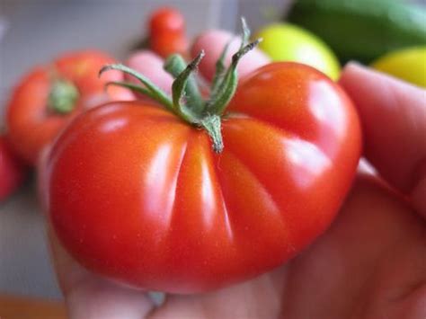 Томат Хлебосольный: описание, характеристика, фото