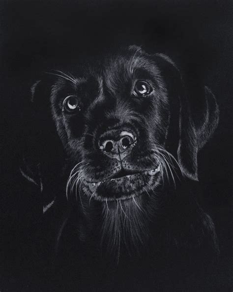 Drawing On Black Paper With Colored Pencil Pencildrawing2019