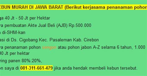 Budidaya Kayu Sengon Budidaya Kayu Sengon