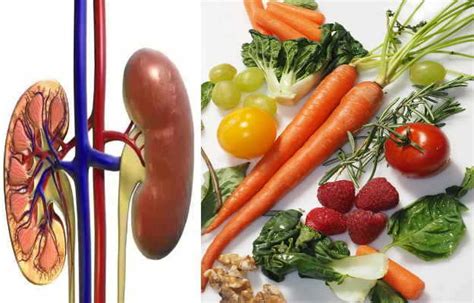 Chronic Kidney Disease Ckd Diet Plan Which Foods To Eat And Which To