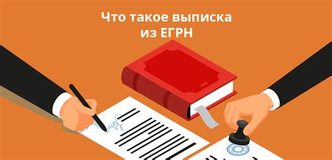 Что такое выписка из ЕГРН: как и где можно оформить этот документ