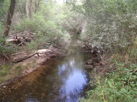 EL RÍO DUERO: Mapa, Nacimiento, Longitud, y mucho más.