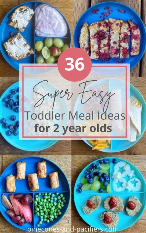 Easy 2 Year Old Meal Ideas in 2021 | Easy toddler meals, Meal plan for