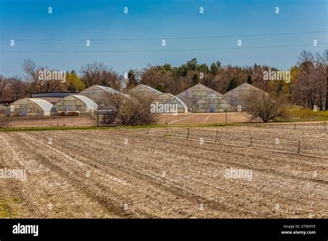 The Charles E Bessey Tree Nursery In Nebraska National Forest