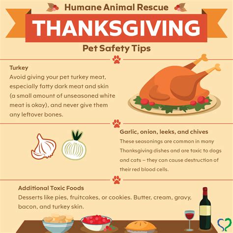 Thanksgiving Holiday Pets