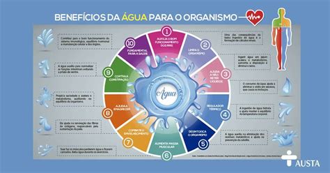 Escreva Cinco Benefícios Que A água Proporciona Aos Seres Humanos