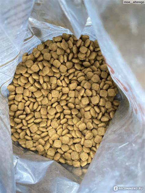 Корм для собак Royal Canin MINIATURE SCHNAUZER цвергшнауцер - «Корм ...