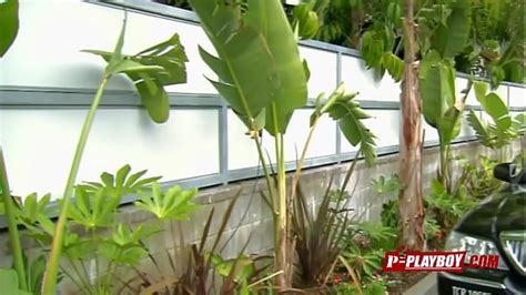Playboy Tv Reality Show Porn Videos LetMeJerk