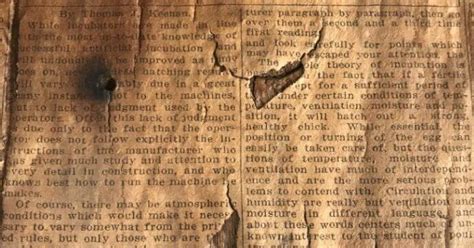 newspaper insulation madraspioneercom