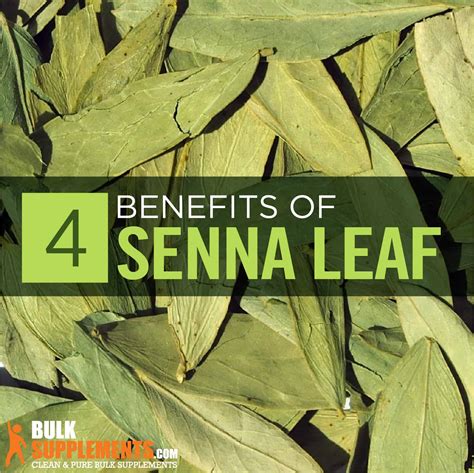 Senna Leaf Extract Benefits Side Effects And Dosage