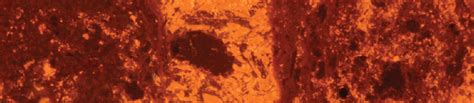 Salt Diapir Sedimentary Inclusions Energy And Mining