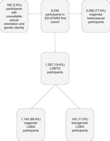 Suicide Risk And Social Connectedness In Cisgender And Transgender Lesbian Gay Bisexual And