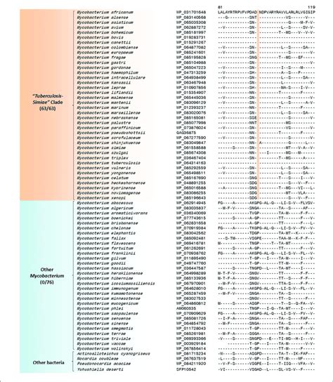 | Partial sequence alignment of a conserved region of a hypothetical ...