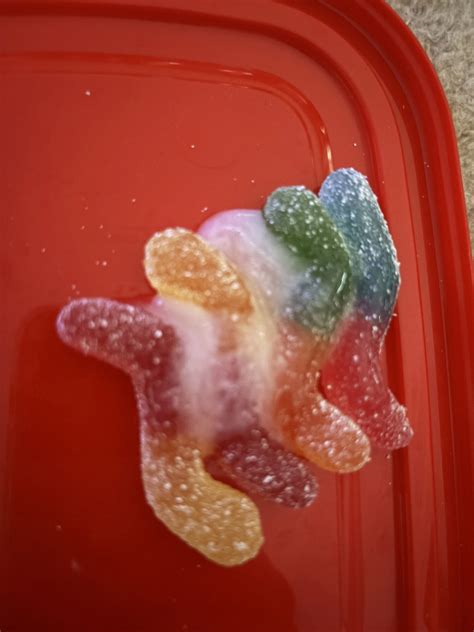 Creampie Gay Porn Pics Nude Men In Free Sex Photos Xhamster