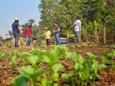 Projeto Da Embrapa Deixa Legado Para Produtores Rurais