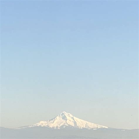 Listen To Music Albums Featuring Pussy Boi By Phree Online For Free On Soundcloud