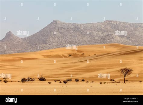 Desert landscape, Saudi Arabia Stock Photo - Alamy