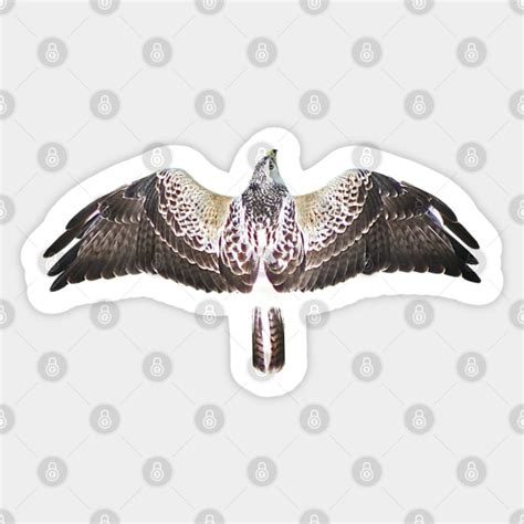 Falcon Falcon Sticker Teepublic