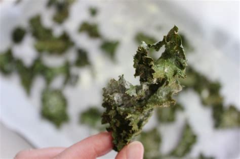 Ranch Kale Chips Miss Foodie Two Shoes