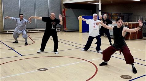 Lesson in Yang style Tai Chi 楊氏太極拳 Tai Chi Apeldoorn He Yong Gan YouTube