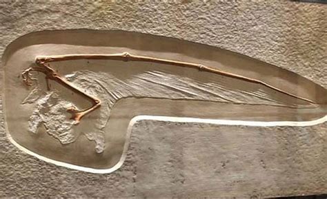 10 Science Discoveries to Be Thankful for | Live Science