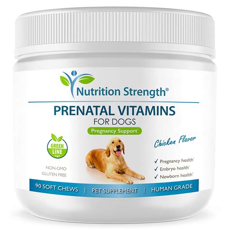 Can Dogs Take Human Prenatal Vitamins