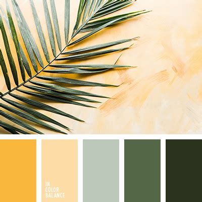 болотный цвет | IN COLOR BALANCE