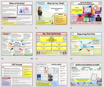Sexual Health Bundle Of Lessons Sex Ed For Teens Relationships Consent