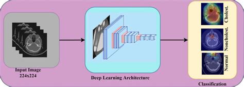Schematic representation of the proposed model. | Download Scientific ...