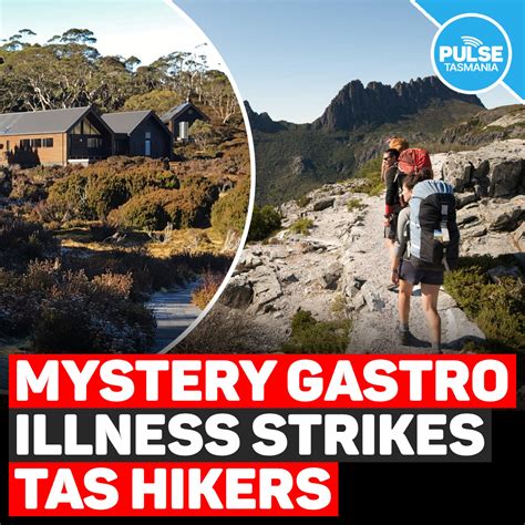 Pulse Tasmania - Hikers on Tasmania's world-famous...