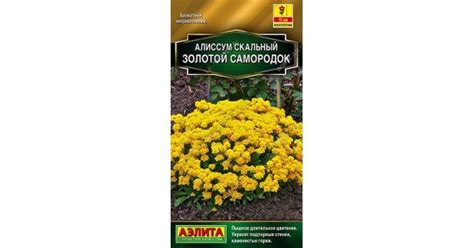 Алиссум Золотой самородок купить с доставкой в интернет-магазине Чистый ...