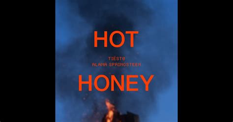 Hot Honey Single Album by Tiësto Alana Springsteen Apple Music