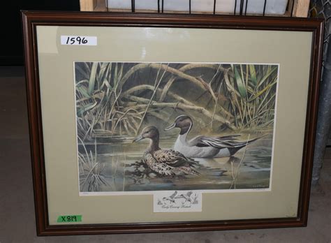 Ducks Unlimited Print