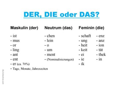 der die oder das praesidium welcher artikel fdomf