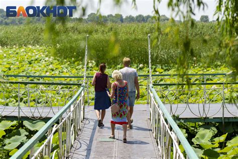 «Свинство одних лишает возможности любоваться красотой других»: под ...