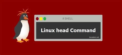 Head Command In Linux With Examples Tecadmin