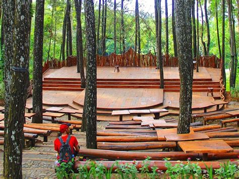 Hutan Pinus Mangunan Tiket Masuk Aktivitas And Fasilitas Maret 2025