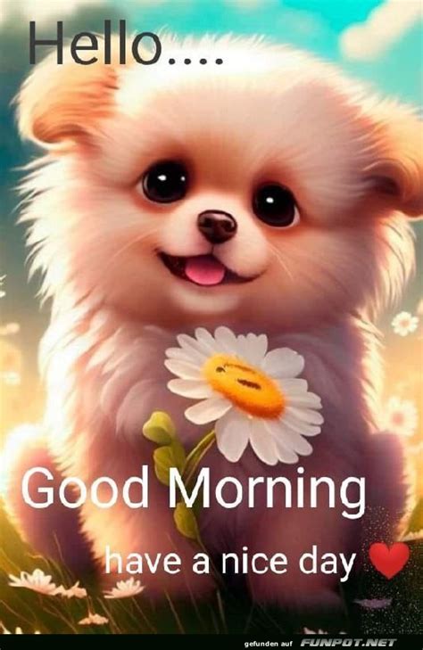 Guten Morgen Guten Morgen