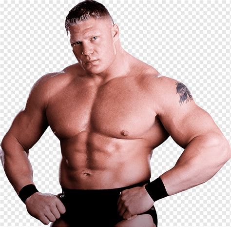 Wwe Brock Lesnar Body
