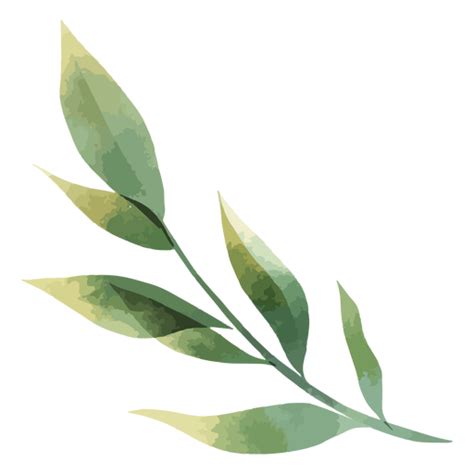 Beautiful Watercolor Leaves Png And Svg Design For T Shirts