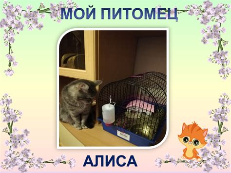 Проект "Мой домашний питомец". Формат pptx. Опубликовано 19.03.2020 в ...
