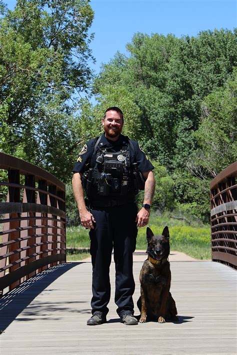 K9 Unit | Larimer County