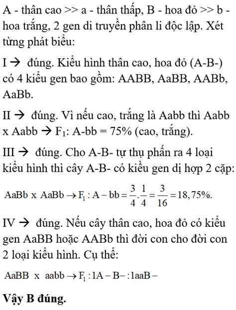 M T Lo I U H Lan Alen A Quy Nh Th N Cao Tr I Ho N To N So V I