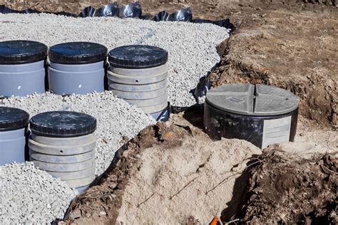 Septic Safe vs. Unsafe Plants Near a Drain Field