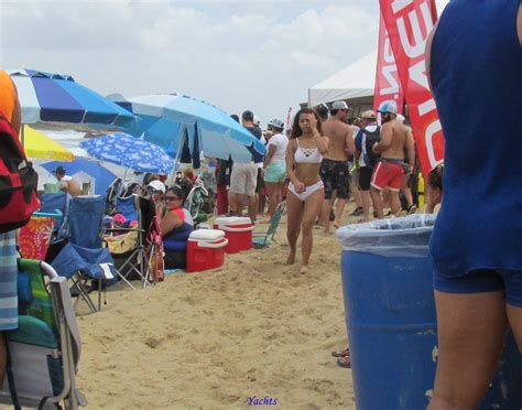 Beach Festival Beach Bikini Forum