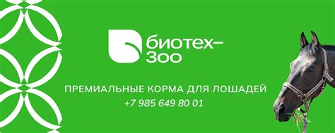 БИОТЕХ-ЗОО, МОСКВА. Корма для лошадей | Номер заявки в Роскомнадзор ...